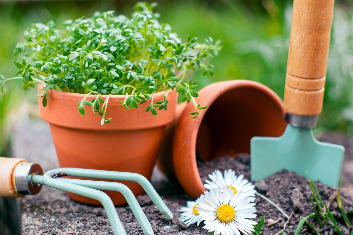 DIY Landscaping Projects for Families: Create Lasting Memories