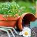 DIY Landscaping Projects for Families: Create Lasting Memories