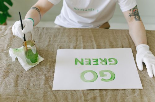 Essential Tips for Eco-Friendly Home Renovations in 2026