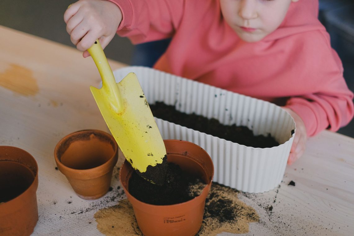 How to Design a Family-Friendly Garden That Grows Together