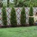 Creating an Outdoor Play Area: Design Ideas for Families